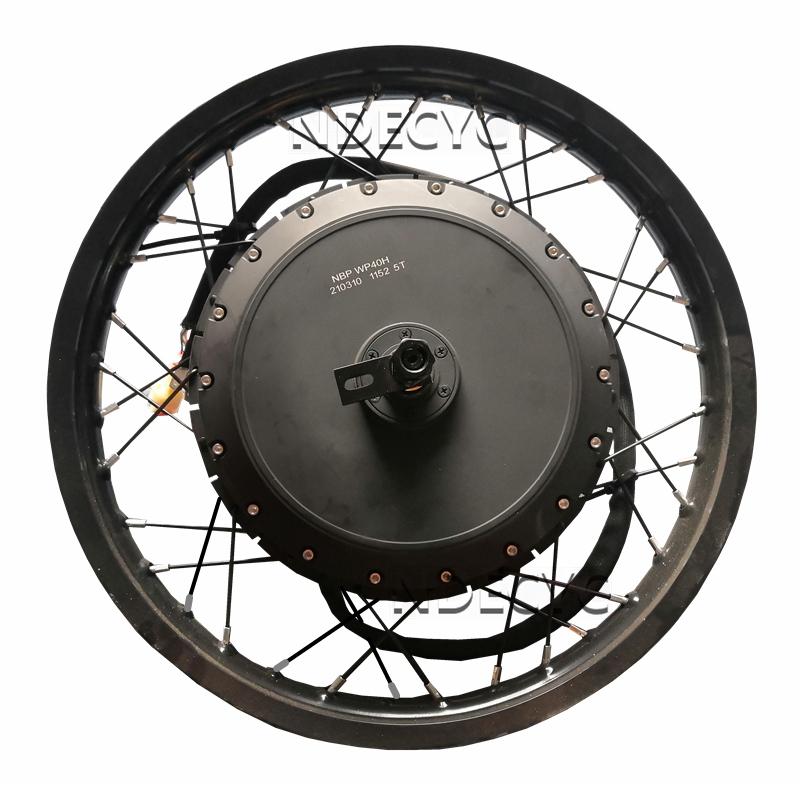 Qs Motor 273 8000W Hub Motor - Motor Sepeda Listrik NBpower/QS V3 273