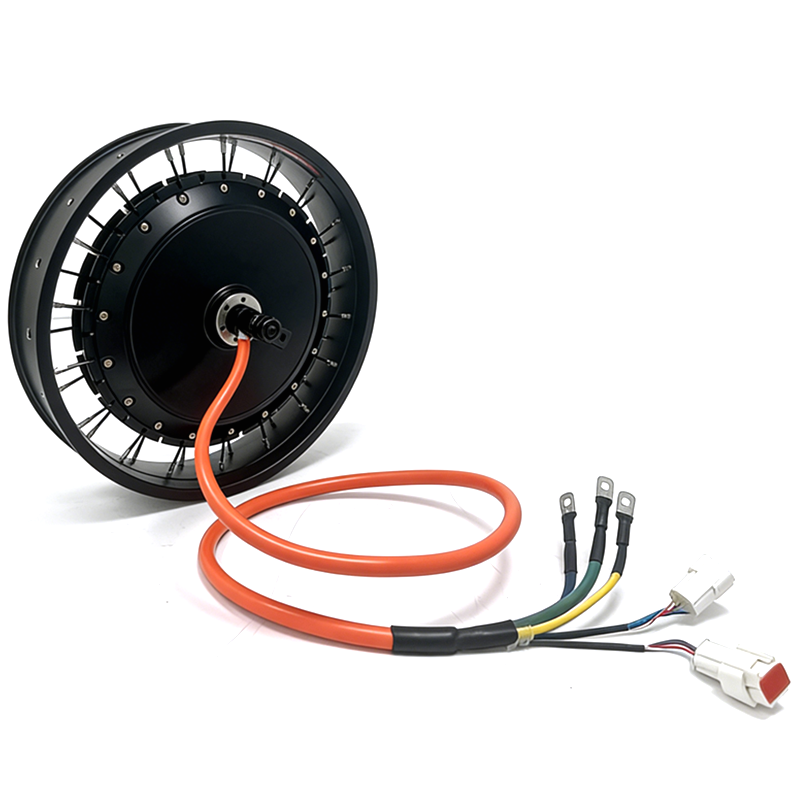 Motor Roda Sepeda Listrik NBpo - Qs Motor 273 8000W Hub Motor ulasan dan harga